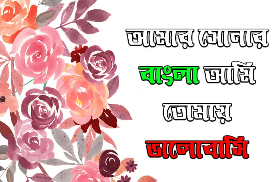Lotika font download